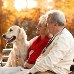 Merkloos LotaHome - Anti Blaf Apparaat - Hondentrainer Voor Binnen En Buiten - Bereik Tot 15 Meter - Diervriendelijk - Zonder Schok - Ultrasone - Voor Alle Honden - Inclusief Clicker 24 Merkloos LotaHome - Anti Blaf Apparaat - Hondentrainer Voor Binnen En Buiten - Bereik Tot 15 Meter - Diervriendelijk - Zonder Schok - Ultrasone - Voor Alle Honden - Inclusief Clicker -Hondenbenodigdheden Korting 1200x1200 1016