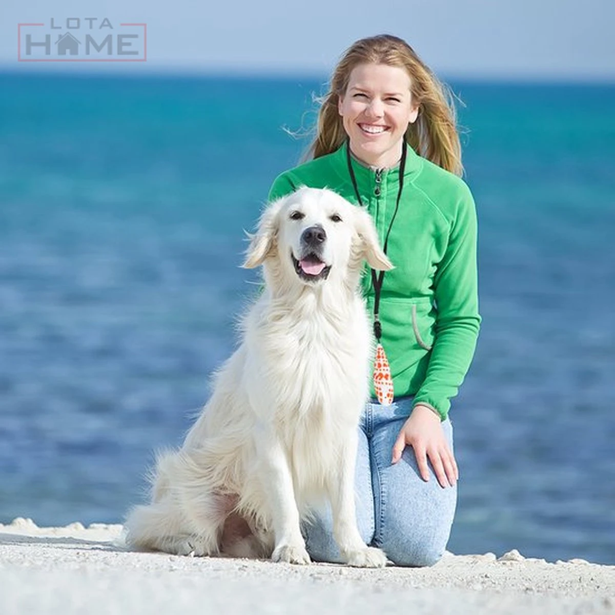 Merkloos LotaHome - Anti Blaf Apparaat - Hondentrainer Voor Binnen En Buiten - Bereik Tot 15 Meter - Diervriendelijk - Zonder Schok - Ultrasone - Voor Alle Honden - Inclusief Clicker 18 Merkloos LotaHome - Anti Blaf Apparaat - Hondentrainer Voor Binnen En Buiten - Bereik Tot 15 Meter - Diervriendelijk - Zonder Schok - Ultrasone - Voor Alle Honden - Inclusief Clicker - Afbeelding 18