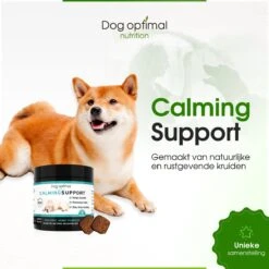 RUST EN KALMEREN CALMING Support 120 Stuks - Kalmeren - AntistressmiddelHond - Hond - Hondenkoekjes - Hondensupplementen - Honden - Puppy - Hondenvoeding -Hondenbenodigdheden Korting 1200x1200 102
