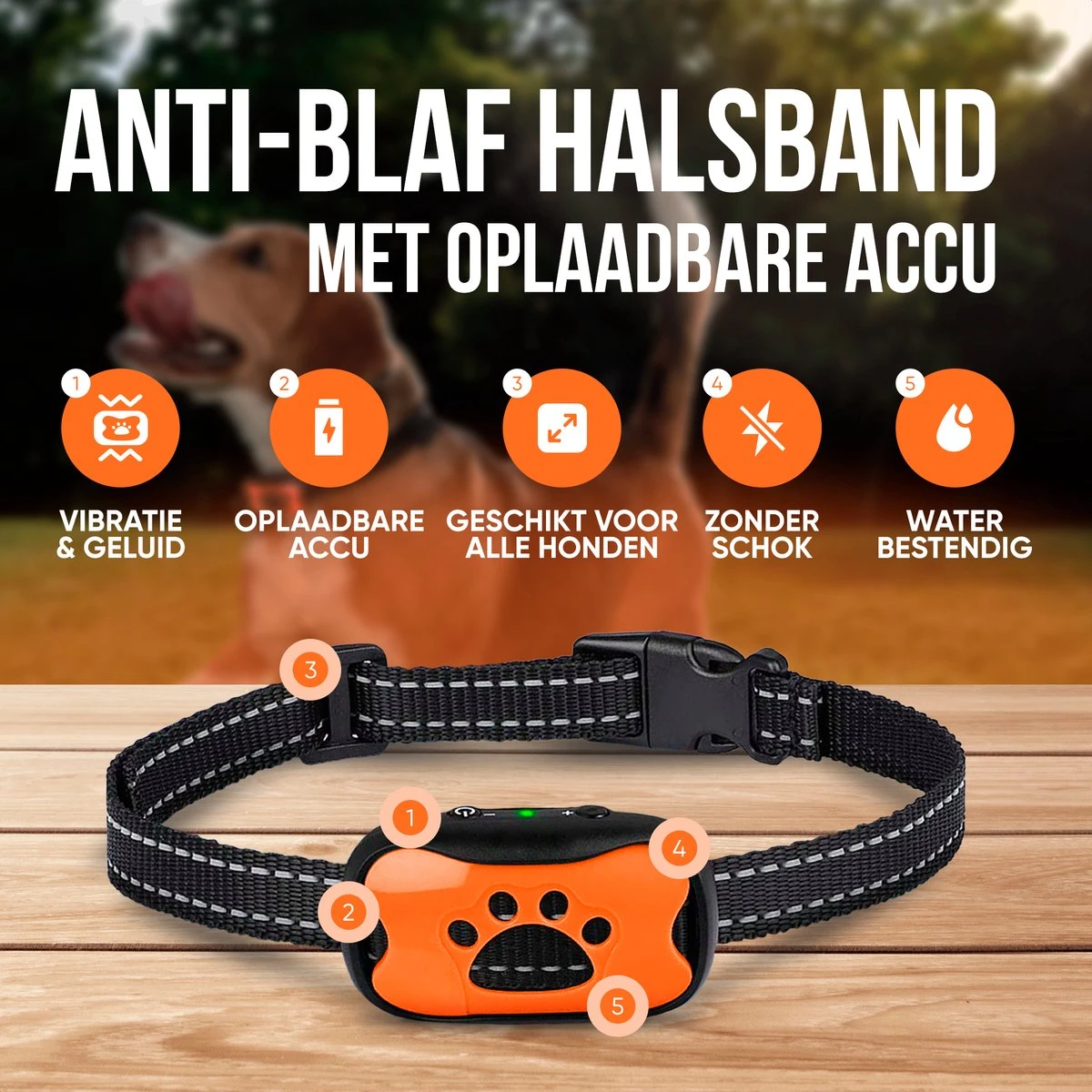 Strex Anti Blafband Voor Honden - 3-60KG - Oplaadbaar - Zonder Schok - Vibratie En Audio - Diervriendelijk - Anti Blaf Band - Anti Blaf Apparaat - Opvoedingshalsband Alle Honden 2 Strex Anti Blafband Voor Honden - 3-60KG - Oplaadbaar - Zonder Schok - Vibratie En Audio - Diervriendelijk - Anti Blaf Band - Anti Blaf Apparaat - Opvoedingshalsband Alle Honden - Afbeelding 2