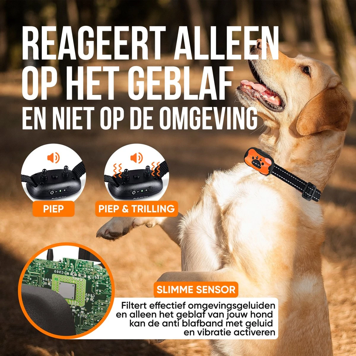 Strex Anti Blafband Voor Honden - 3-60KG - Oplaadbaar - Zonder Schok - Vibratie En Audio - Diervriendelijk - Anti Blaf Band - Anti Blaf Apparaat - Opvoedingshalsband Alle Honden 3 Strex Anti Blafband Voor Honden - 3-60KG - Oplaadbaar - Zonder Schok - Vibratie En Audio - Diervriendelijk - Anti Blaf Band - Anti Blaf Apparaat - Opvoedingshalsband Alle Honden - Afbeelding 3