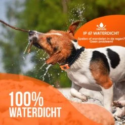 Strex Anti Blafband Voor Honden - 3-60KG - Oplaadbaar - Zonder Schok - Vibratie En Audio - Diervriendelijk - Anti Blaf Band - Anti Blaf Apparaat - Opvoedingshalsband Alle Honden 13 Strex Anti Blafband Voor Honden - 3-60KG - Oplaadbaar - Zonder Schok - Vibratie En Audio - Diervriendelijk - Anti Blaf Band - Anti Blaf Apparaat - Opvoedingshalsband Alle Honden -Hondenbenodigdheden Korting 1200x1200 1023