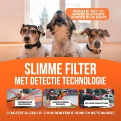 Strex Anti Blafband Voor Honden - 3-60KG - Oplaadbaar - Zonder Schok - Vibratie En Audio - Diervriendelijk - Anti Blaf Band - Anti Blaf Apparaat - Opvoedingshalsband Alle Honden 14 Strex Anti Blafband Voor Honden - 3-60KG - Oplaadbaar - Zonder Schok - Vibratie En Audio - Diervriendelijk - Anti Blaf Band - Anti Blaf Apparaat - Opvoedingshalsband Alle Honden -Hondenbenodigdheden Korting 1200x1200 1024