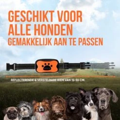 Strex Anti Blafband Voor Honden - 3-60KG - Oplaadbaar - Zonder Schok - Vibratie En Audio - Diervriendelijk - Anti Blaf Band - Anti Blaf Apparaat - Opvoedingshalsband Alle Honden 15 Strex Anti Blafband Voor Honden - 3-60KG - Oplaadbaar - Zonder Schok - Vibratie En Audio - Diervriendelijk - Anti Blaf Band - Anti Blaf Apparaat - Opvoedingshalsband Alle Honden -Hondenbenodigdheden Korting 1200x1200 1025