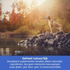 Sensipharm Bitterspray Anti Bijt Spray - Hond, Kat, Konijn & Vogel - Bitter Anti Kauw Knabbel Knaag - 100 Ml -Hondenbenodigdheden Korting 1200x1200 1029