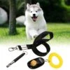 Handige 3-In-1 Hondenfluit - Professioneel - Fluit - Trainen - Ultrasoon