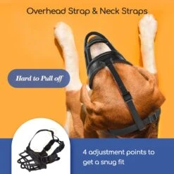 Nobleza Muilkorf Hond - Snuitomtrek 33 - Maat L - Zwart 10 Nobleza Muilkorf Hond - Snuitomtrek 33 - Maat L - Zwart -Hondenbenodigdheden Korting 1200x1200 1068