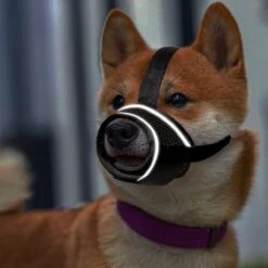 Merkloos Hoog Kwaliteit Muilkorf Met Bedrukt Patroon - Muilkorf Hond - Hondensnuit - Anti Blaf En Bijt - Voor Kleine En Grote Honden Maat M Zwart Reflecterend -Hondenbenodigdheden Korting 1200x1200 1072