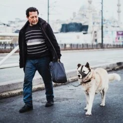 Merkloos Hoog Kwaliteit Muilkorf Met Bedrukt Patroon - Muilkorf Hond - Hondensnuit - Anti Blaf En Bijt - Voor Kleine En Grote Honden Maat M Zwart Reflecterend -Hondenbenodigdheden Korting 1200x1200 1073