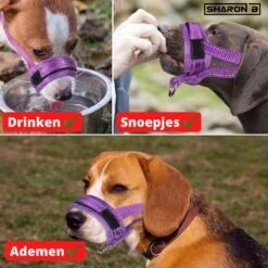 Sharon-B Muilkorf Turquoise Maat S - Fleece - Reflecterend - Kleine Hond -Hondenbenodigdheden Korting 1200x1200 1077