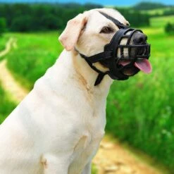 Sharon B Muilkorf Hond - Zwart - XXL - Voor Zeer Grote Honden - Snuitomtrek 38-43 Cm -Hondenbenodigdheden Korting 1200x1200 1081