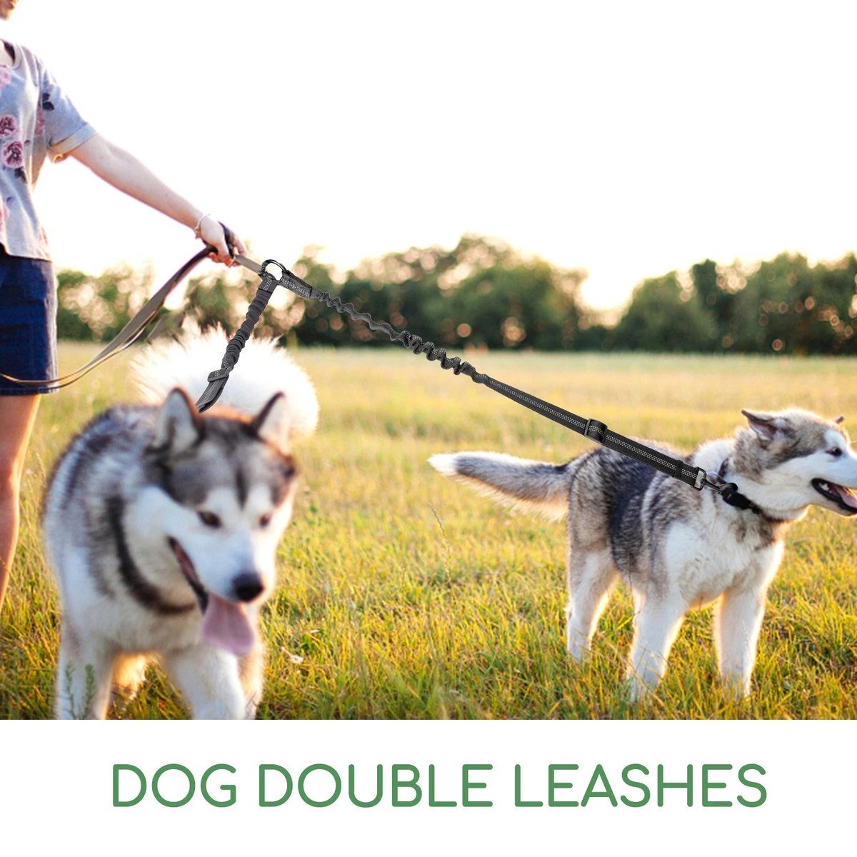 Nobleza Splitter Hondenriem - Dubbel Aanlijnriem Voor Honden - Splitter Verstelbaar - Zwart 8 Nobleza Splitter Hondenriem - Dubbel Aanlijnriem Voor Honden - Splitter Verstelbaar - Zwart - Afbeelding 8