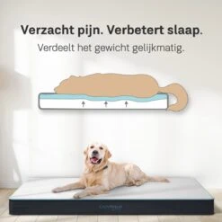 CozySense® - Orthopedisch Hondenkussen - Hondenkussen 75 X 45 Cm - Ook Geschikt Als Benchkussen & Hondenbed - Hondenkussen Bank - Traagschuim - Waterdicht - Wasbare Hoes - Maat M 10 CozySense® - Orthopedisch Hondenkussen - Hondenkussen 75 X 45 Cm - Ook Geschikt Als Benchkussen & Hondenbed - Hondenkussen Bank - Traagschuim - Waterdicht - Wasbare Hoes - Maat M -Hondenbenodigdheden Korting 1200x1200 1130