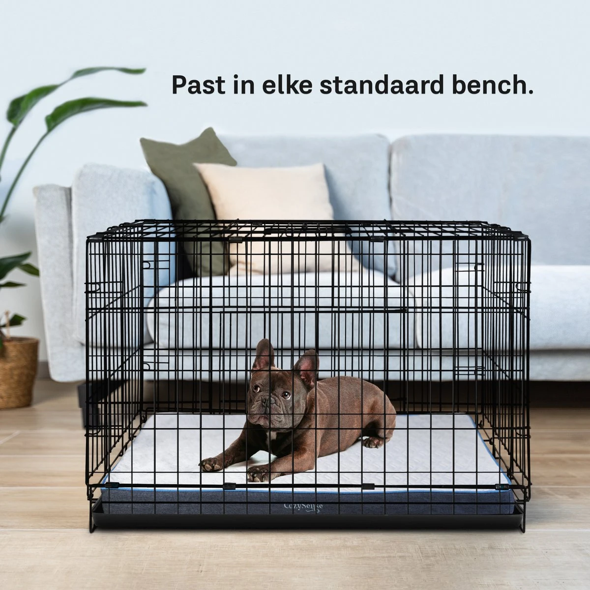 CozySense® - Orthopedisch Hondenkussen - Hondenkussen 75 X 45 Cm - Ook Geschikt Als Benchkussen & Hondenbed - Hondenkussen Bank - Traagschuim - Waterdicht - Wasbare Hoes - Maat M 5 CozySense® - Orthopedisch Hondenkussen - Hondenkussen 75 X 45 Cm - Ook Geschikt Als Benchkussen & Hondenbed - Hondenkussen Bank - Traagschuim - Waterdicht - Wasbare Hoes - Maat M - Afbeelding 5