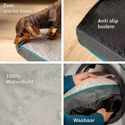 CozySense® - Orthopedisch Hondenkussen - Hondenkussen 75 X 45 Cm - Ook Geschikt Als Benchkussen & Hondenbed - Hondenkussen Bank - Traagschuim - Waterdicht - Wasbare Hoes - Maat M 14 CozySense® - Orthopedisch Hondenkussen - Hondenkussen 75 X 45 Cm - Ook Geschikt Als Benchkussen & Hondenbed - Hondenkussen Bank - Traagschuim - Waterdicht - Wasbare Hoes - Maat M -Hondenbenodigdheden Korting 1200x1200 1134