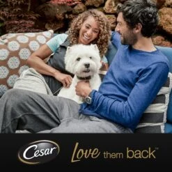 Cesar Primeur Paté Honden Natvoer - Kalf & Worteltjes - 10 X 300 Gr 5 Cesar Primeur Paté Honden Natvoer - Kalf & Worteltjes - 10 X 300 Gr -Hondenbenodigdheden Korting 1200x1200 114