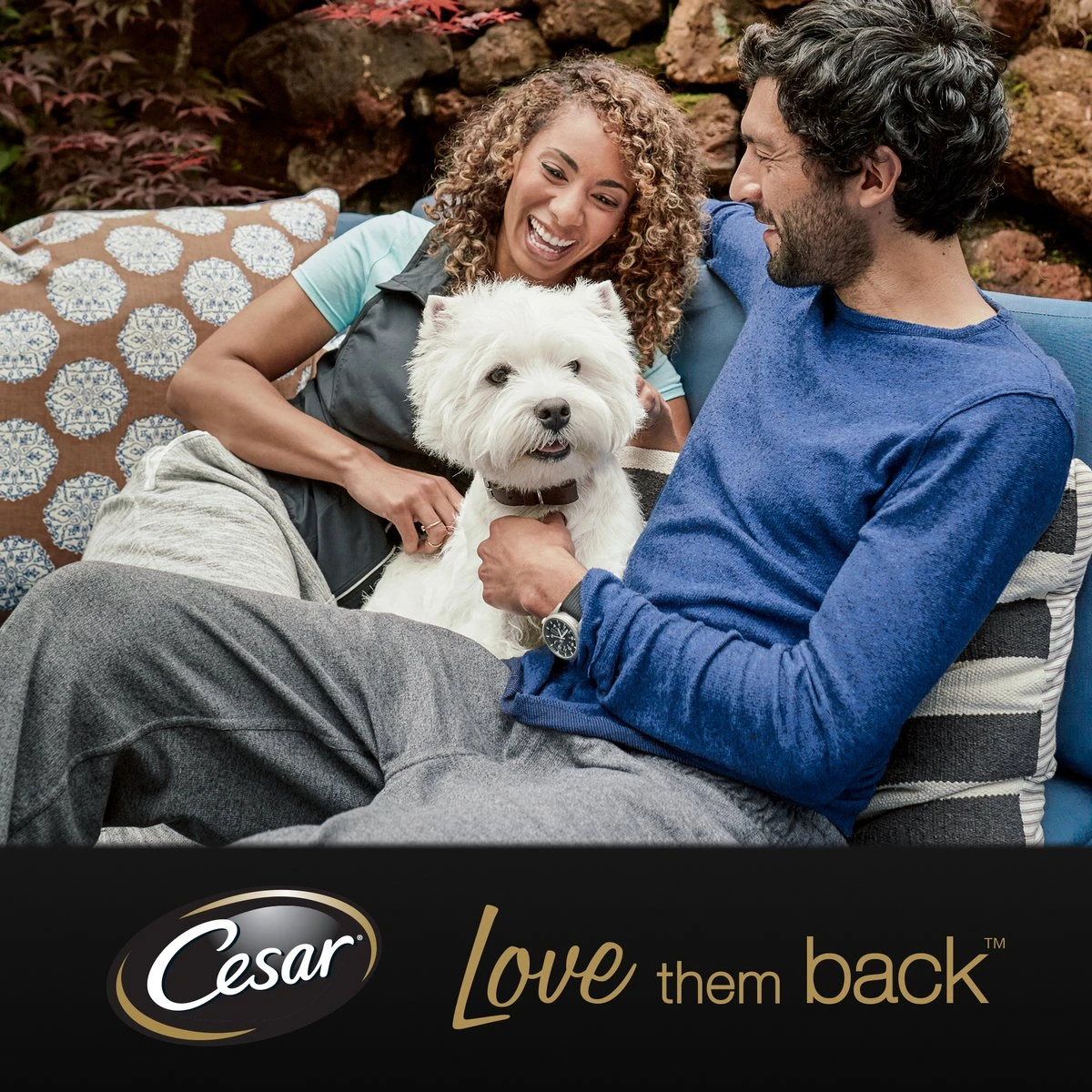 Cesar Primeur Paté Honden Natvoer - Kalf & Worteltjes - 10 X 300 Gr 3 Cesar Primeur Paté Honden Natvoer - Kalf & Worteltjes - 10 X 300 Gr - Afbeelding 3