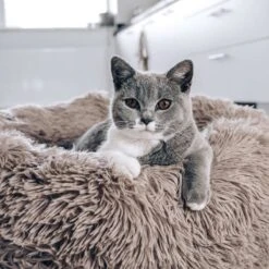 District 70 FUZZ - Hondenmand Comfortabel En Zacht Pluche - Zand, Oudroze, Donkergrijs En Lichtgrijs In S/M/L/XL - Maat: Large, Kleur: Zand -Hondenbenodigdheden Korting 1200x1200 1147