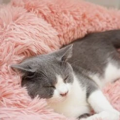 Topmast Fluffy Donut - Dierenmand - Donut Hondenmand - Roze - 50 Cm -Hondenbenodigdheden Korting 1200x1200 1158