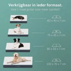 Nieuwe uitgaven -Hondenbenodigdheden Korting 1200x1200 1172