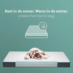 CozySense® - Orthopedisch Hondenkussen - Hondenkussen 90 X 55 Cm - Ook Geschikt Als Benchkussen & Hondenbed - Hondenkussen Bank - Traagschuim - Waterdicht - Wasbare Hoes - Maat L 11 CozySense® - Orthopedisch Hondenkussen - Hondenkussen 90 X 55 Cm - Ook Geschikt Als Benchkussen & Hondenbed - Hondenkussen Bank - Traagschuim - Waterdicht - Wasbare Hoes - Maat L -Hondenbenodigdheden Korting 1200x1200 1174