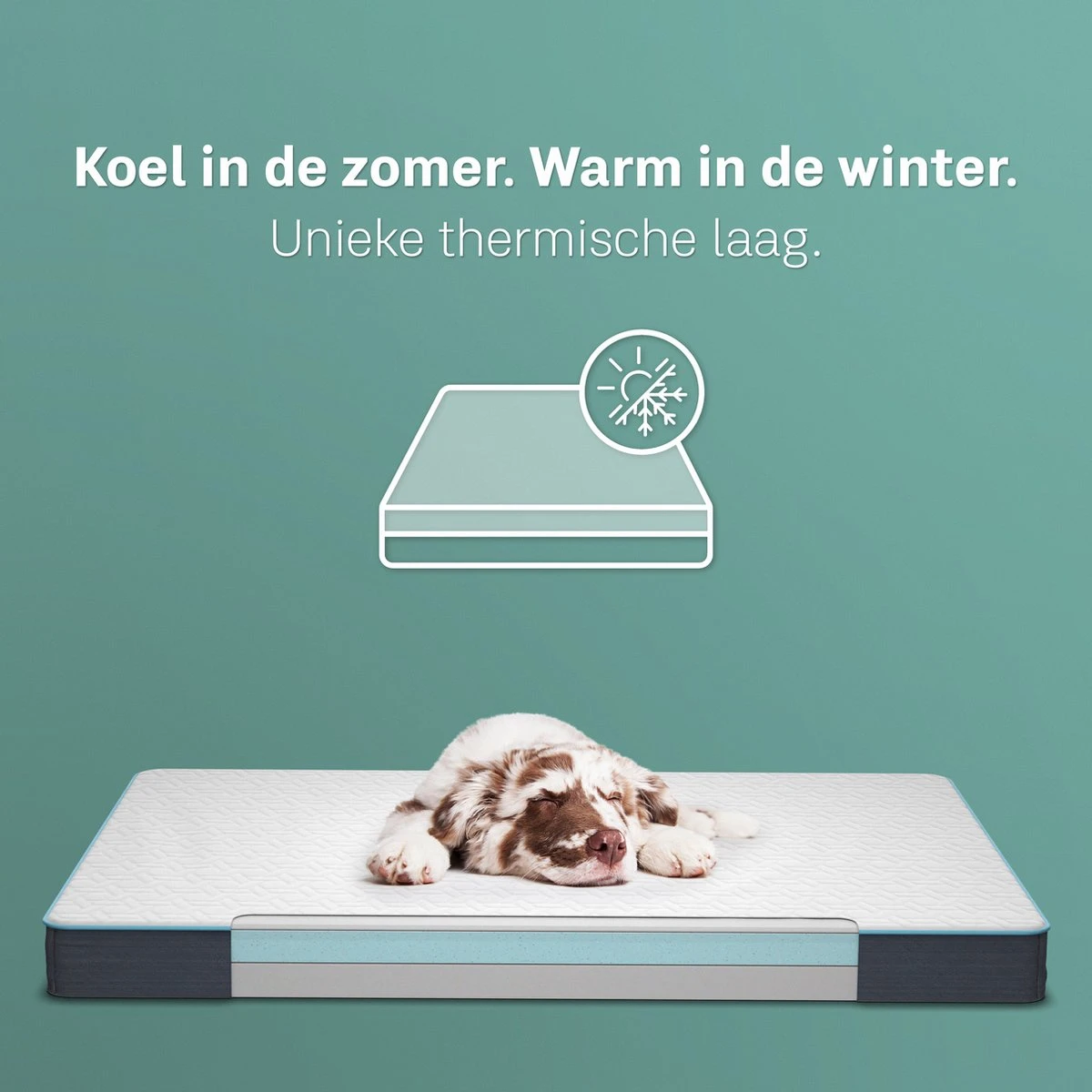 CozySense® - Orthopedisch Hondenkussen - Hondenkussen 90 X 55 Cm - Ook Geschikt Als Benchkussen & Hondenbed - Hondenkussen Bank - Traagschuim - Waterdicht - Wasbare Hoes - Maat L 4 CozySense® - Orthopedisch Hondenkussen - Hondenkussen 90 X 55 Cm - Ook Geschikt Als Benchkussen & Hondenbed - Hondenkussen Bank - Traagschuim - Waterdicht - Wasbare Hoes - Maat L - Afbeelding 4