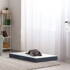 CozySense® - Orthopedisch Hondenkussen - Hondenkussen 90 X 55 Cm - Ook Geschikt Als Benchkussen & Hondenbed - Hondenkussen Bank - Traagschuim - Waterdicht - Wasbare Hoes - Maat L 13 CozySense® - Orthopedisch Hondenkussen - Hondenkussen 90 X 55 Cm - Ook Geschikt Als Benchkussen & Hondenbed - Hondenkussen Bank - Traagschuim - Waterdicht - Wasbare Hoes - Maat L -Hondenbenodigdheden Korting 1200x1200 1176