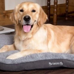 Scruffs Cosy - Comfortabel Hondenkussen In Grijs, Beige Of Karamel - Met Imitatie Suède Buitenvoering En Superzachte Binnenvoering - 100 X 70 Cm - Grijs -Hondenbenodigdheden Korting 1200x1200 1187