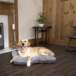 Scruffs Cosy - Comfortabel Hondenkussen In Grijs, Beige Of Karamel - Met Imitatie Suède Buitenvoering En Superzachte Binnenvoering - 100 X 70 Cm - Grijs -Hondenbenodigdheden Korting 1200x1200 1189