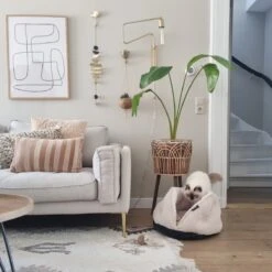 District 70 TUCK - Luxe & Comfortabele Mand Kleine Honden - Terra, Donkergrijs & Zand - 50x50x30 Cm - Zand -Hondenbenodigdheden Korting 1200x1200 1206