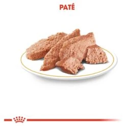 Royal Canin Chihuahua Pouch (12X85 GR) 11 Royal Canin Chihuahua Pouch (12X85 GR) -Hondenbenodigdheden Korting 1200x1200 121