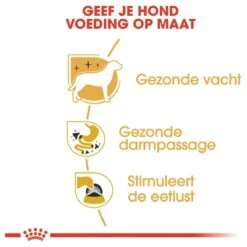 Royal Canin Chihuahua Pouch (12X85 GR) 12 Royal Canin Chihuahua Pouch (12X85 GR) -Hondenbenodigdheden Korting 1200x1200 122