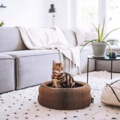 District 70 MAZE 3-in-1 Opvouwbare Kartonnen Kattenmand - Inclusief Catnip Balletje - Voor Slapen, Spelen En Krabben! -Hondenbenodigdheden Korting 1200x1200 1223
