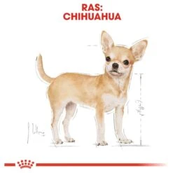 Royal Canin Chihuahua Pouch (12X85 GR) 13 Royal Canin Chihuahua Pouch (12X85 GR) -Hondenbenodigdheden Korting 1200x1200 123