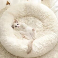 Bonbox Shop - Maat S - Donut Bed In Wit - Dierenmand Voor Katten, Kittens En Kleine Honden - Knus Mandje - Donutbed Diameter 40 Cm - Anti Anxiety -Hondenbenodigdheden Korting 1200x1200 1233