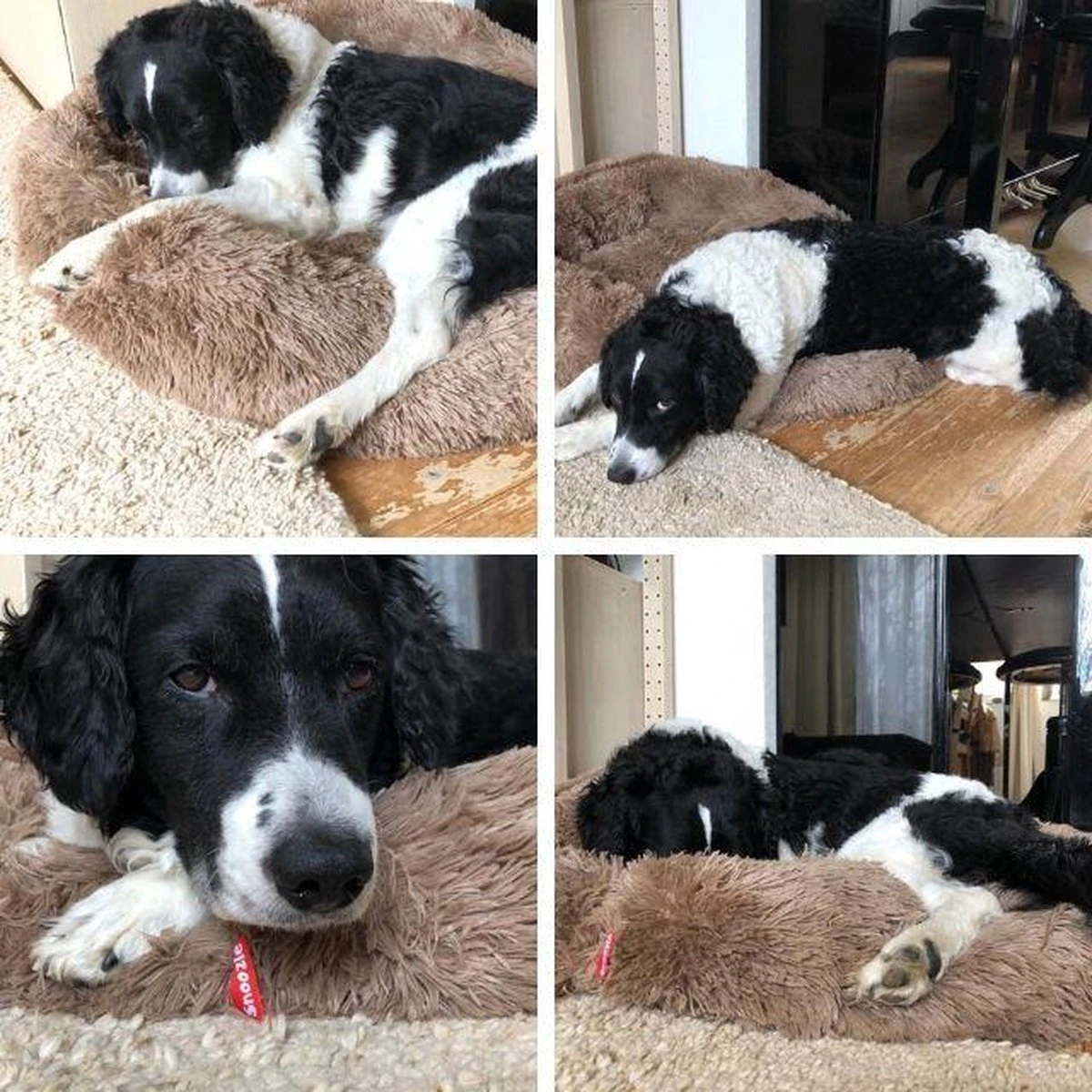 Snoozle Donut Hondenmand - Zacht En Luxe Hondenkussen - Wasbaar - Fluffy - Hondenmanden - 70cm - Creme Bruin 4 Snoozle Donut Hondenmand - Zacht En Luxe Hondenkussen - Wasbaar - Fluffy - Hondenmanden - 70cm - Creme Bruin - Afbeelding 4