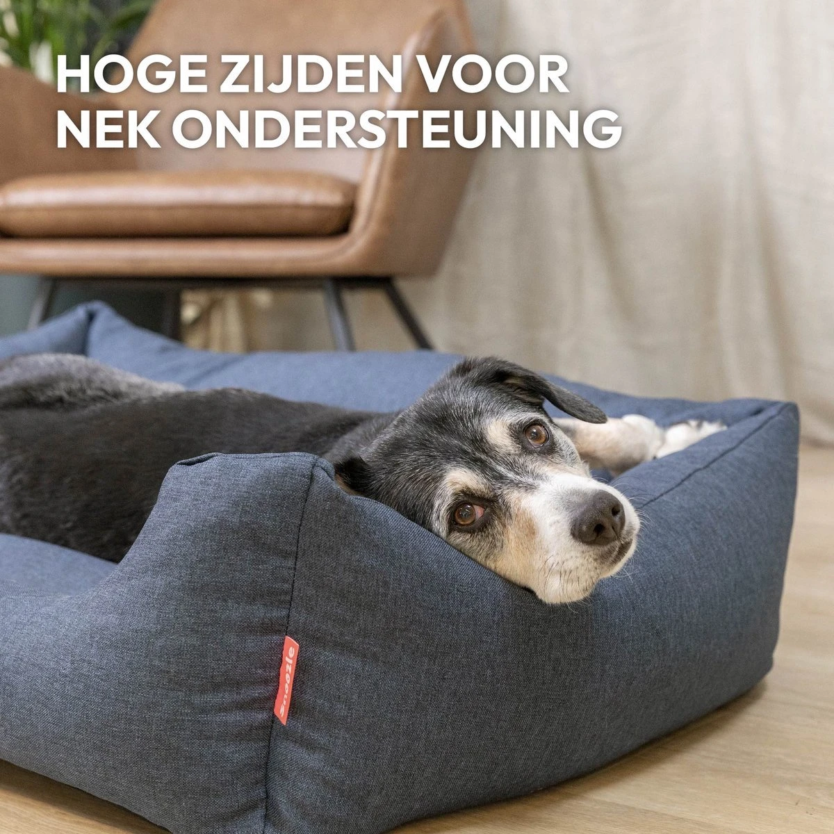 Snoozle Hondenmand - Zacht En Luxe Hondenkussen - Hondenbed - Wasbaar - Hondenmanden - 80 X 60cm 7 Snoozle Hondenmand - Zacht En Luxe Hondenkussen - Hondenbed - Wasbaar - Hondenmanden - 80 X 60cm - Afbeelding 7