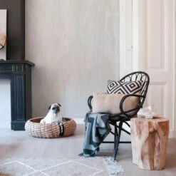 District 70 COCOON - Luxe Hondenmand Van Duurzaam Hoogwaardig Riet Met Zacht Kussen - Maten S/M/L - Large -Hondenbenodigdheden Korting 1200x1200 1291