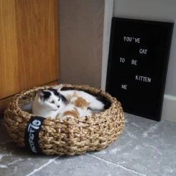 District 70 COCOON - Luxe Hondenmand Van Duurzaam Hoogwaardig Riet Met Zacht Kussen - Maten S/M/L - Large -Hondenbenodigdheden Korting 1200x1200 1295