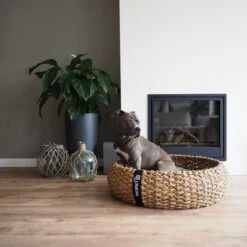 District 70 COCOON - Luxe Hondenmand Van Duurzaam Hoogwaardig Riet Met Zacht Kussen - Maten S/M/L - Large -Hondenbenodigdheden Korting 1200x1200 1296
