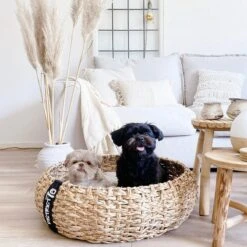 District 70 COCOON - Luxe Hondenmand Van Duurzaam Hoogwaardig Riet Met Zacht Kussen - Maten S/M/L - Large -Hondenbenodigdheden Korting 1200x1200 1298