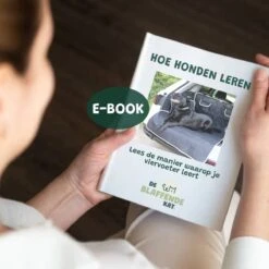 De Blaffende Kat Wasdrogerbollen - Droger Ballen - Huisdier Haarverwijderaar - 4 Wasbollen Voor Wasmachine En Droger 10 De Blaffende Kat Wasdrogerbollen - Droger Ballen - Huisdier Haarverwijderaar - 4 Wasbollen Voor Wasmachine En Droger -Hondenbenodigdheden Korting 1200x1200 130