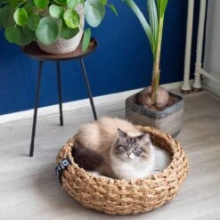 District 70 COCOON - Luxe Hondenmand Van Duurzaam Hoogwaardig Riet Met Zacht Kussen - Maten S/M/L - Large -Hondenbenodigdheden Korting 1200x1200 1302