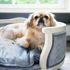 Lord Lou - George Roze Velvet S - Luxe Hondenmand - Luxe Kattenmand - 49x40x31 -Hondenbenodigdheden Korting 1200x1200 1304