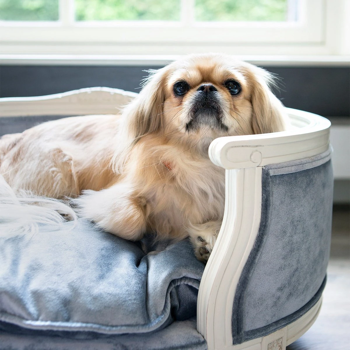 Lord Lou - George Blauw Velvet S - Luxe Hondenmand - Luxe Kattenmand - 49x40x31 7 Lord Lou - George Blauw Velvet S - Luxe Hondenmand - Luxe Kattenmand - 49x40x31 - Afbeelding 7