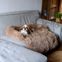 Dogs&Co Zachte Fluffy Hondenmat Voor Bank Maat L Khaki 120x90cm - Hondenmand 10 Dogs&Co Zachte Fluffy Hondenmat Voor Bank Maat L Khaki 120x90cm - Hondenmand -Hondenbenodigdheden Korting 1200x1200 1339