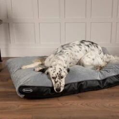 Scruffs Chateau - Hondenbed Orthopedisch Met Memory Foam Voor Extra Steun Voor Rug En Gewrichten - Grijs & Bruin Maat M/L - Kleur: Grijs, Maat: Medium 31 Scruffs Chateau - Hondenbed Orthopedisch Met Memory Foam Voor Extra Steun Voor Rug En Gewrichten - Grijs & Bruin Maat M/L - Kleur: Grijs, Maat: Medium -Hondenbenodigdheden Korting 1200x1200 1375