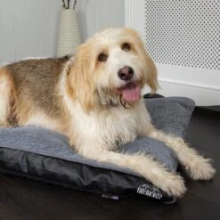 Scruffs Chateau - Hondenbed Orthopedisch Met Memory Foam Voor Extra Steun Voor Rug En Gewrichten - Grijs & Bruin Maat M/L - Kleur: Grijs, Maat: Medium 33 Scruffs Chateau - Hondenbed Orthopedisch Met Memory Foam Voor Extra Steun Voor Rug En Gewrichten - Grijs & Bruin Maat M/L - Kleur: Grijs, Maat: Medium -Hondenbenodigdheden Korting 1200x1200 1376