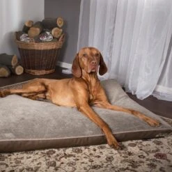 Scruffs Chateau - Hondenbed Orthopedisch Met Memory Foam Voor Extra Steun Voor Rug En Gewrichten - Grijs & Bruin Maat M/L - Kleur: Grijs, Maat: Medium 34 Scruffs Chateau - Hondenbed Orthopedisch Met Memory Foam Voor Extra Steun Voor Rug En Gewrichten - Grijs & Bruin Maat M/L - Kleur: Grijs, Maat: Medium -Hondenbenodigdheden Korting 1200x1200 1377