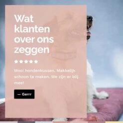 Rexproduct Hondenkussen - Hondenmand - Hondenbed Met Rits En Wasbaar - Manden & Kussens 90 X 110 CM - 0 Tot 80 Kg - SoftPet Groen -Hondenbenodigdheden Korting 1200x1200 1388